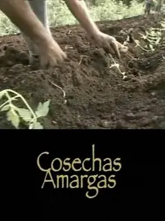 《苦涩的收获》：人性深处的禁忌之恋，绝望与希望交织的震撼叙事